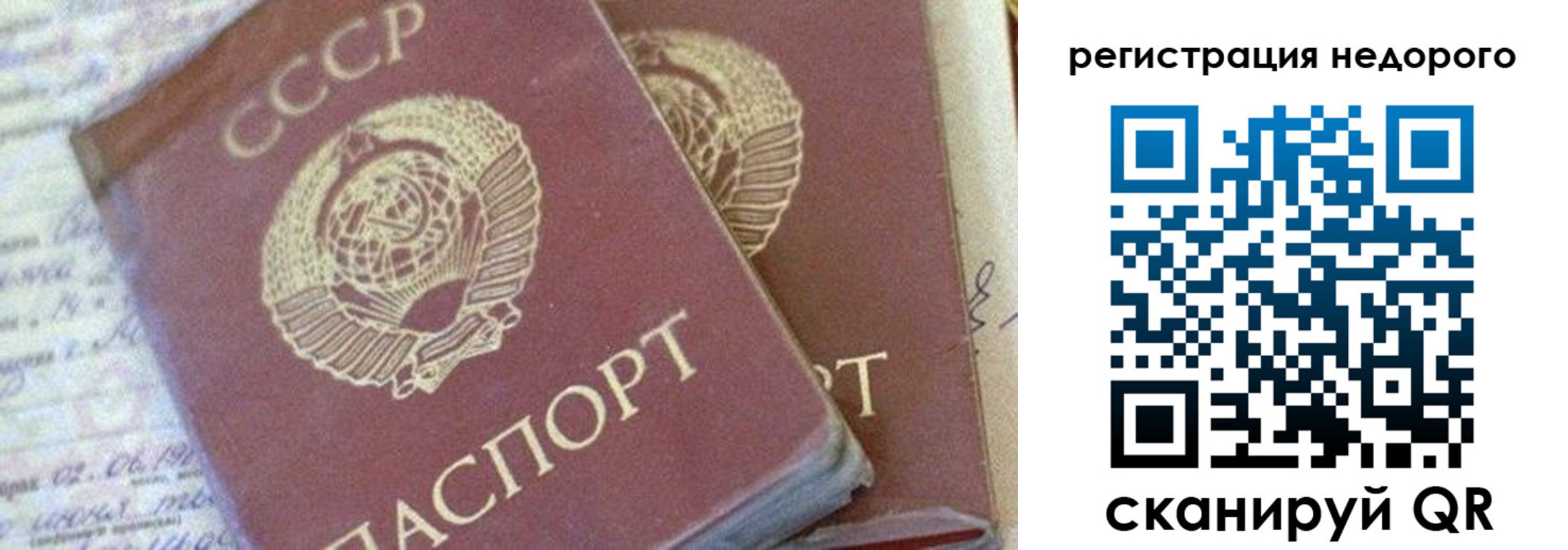 прописка для работы в Светогорске